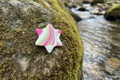 Pink, Green & White Star Polymer Clay Brooch