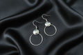Domed Circle Dangle Earrings