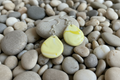 Yellow Teardrop Polymer Clay Dangle Earrings