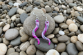 Pink Tenticle Polymer Clay Dangle Earrings