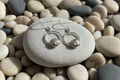 Ladybird Circle Dangle Earrings