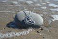 Triquetra Celtic Moon Pendant & Chain