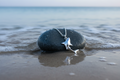 Shark Pendant & Chain