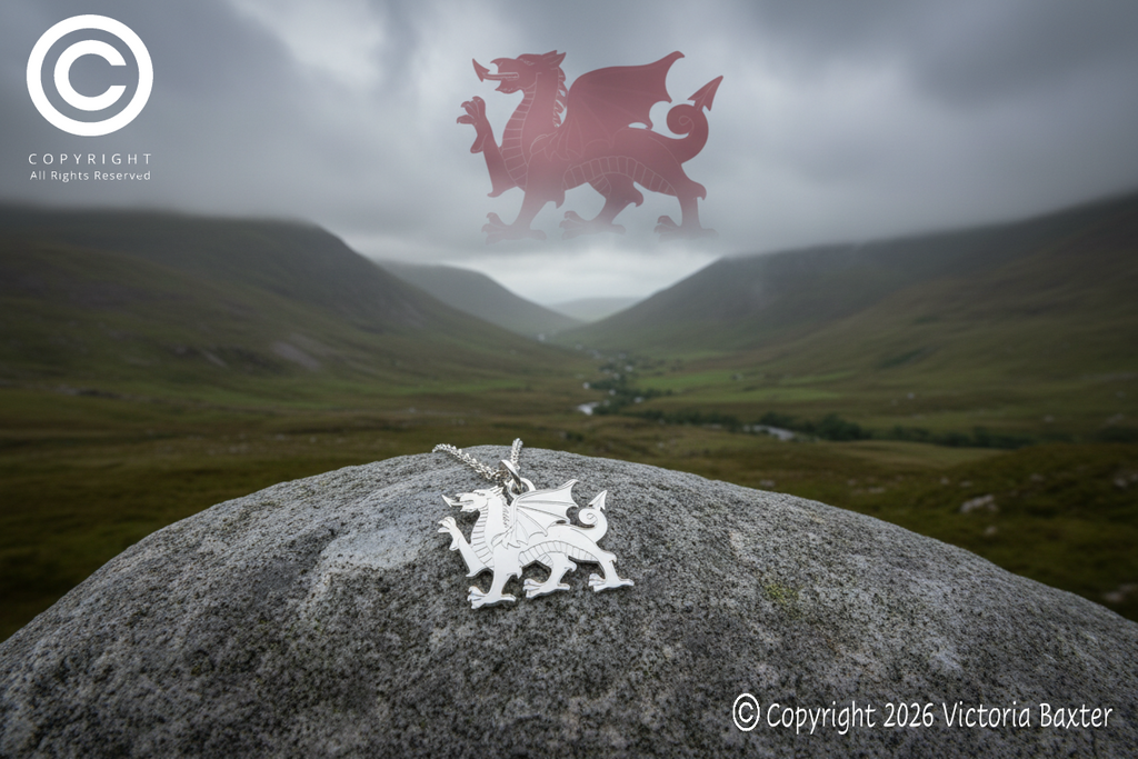 Welsh Dragon Pendant & Chain