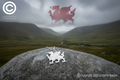 Welsh Dragon Pendant & Chain