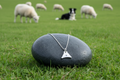 Sheepdog Whistle Charm Necklace