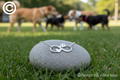 Paw Print Infinity Heart Necklace