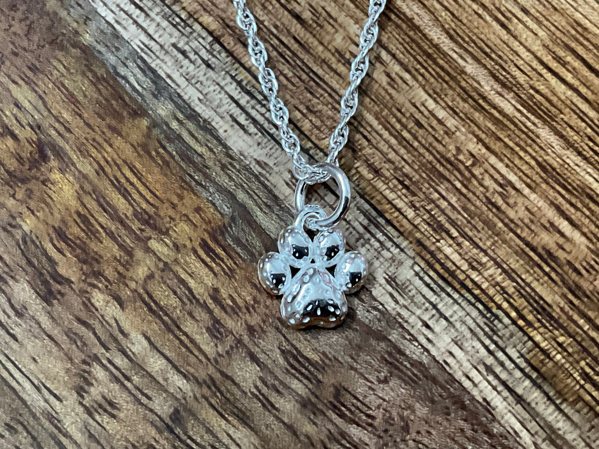 Paw Print Pendant & Chain