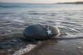Star Pendant & Chain