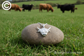 Highland Cow Head Pendant & Chain