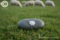 Sheep Pendant & Chain