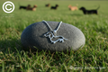 Dachshund Pendant & Chain