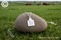 Cow Tag Pendant & Chain