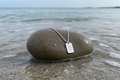 Flower Birth Month Tag Necklace