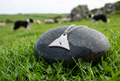 Sheepdog Whistle Necklace - The Minnie Logan