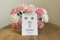 January Birth Flower Stud Earrings - Carnation Stud Earrings