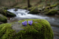 Purple Heart Polymer Clay Stud Earrings
