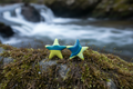 Teal & Green Star Polymer Clay Stud Earrings