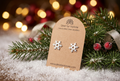 Snowflake Stud Earrings