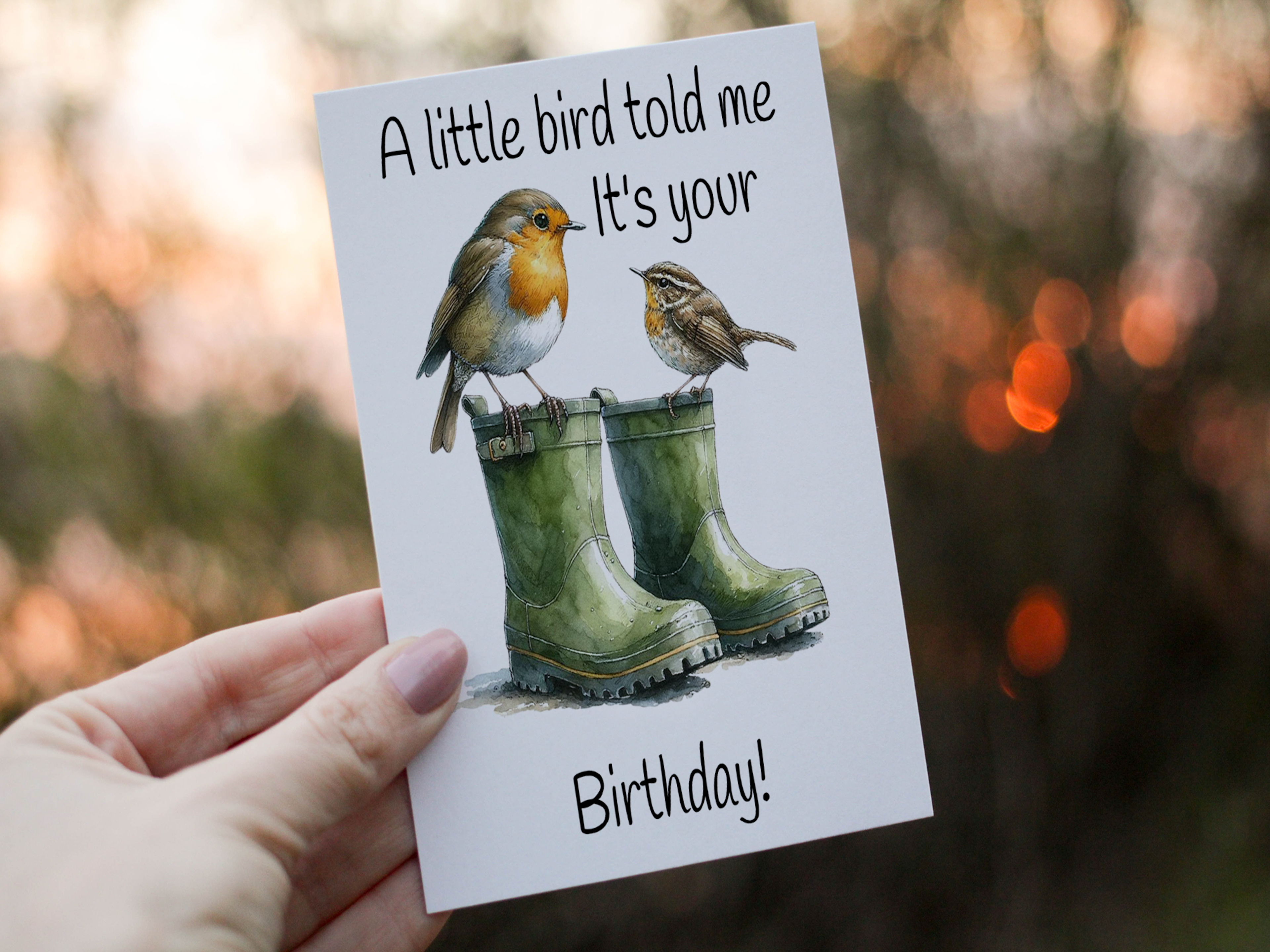Robin Birthday Card