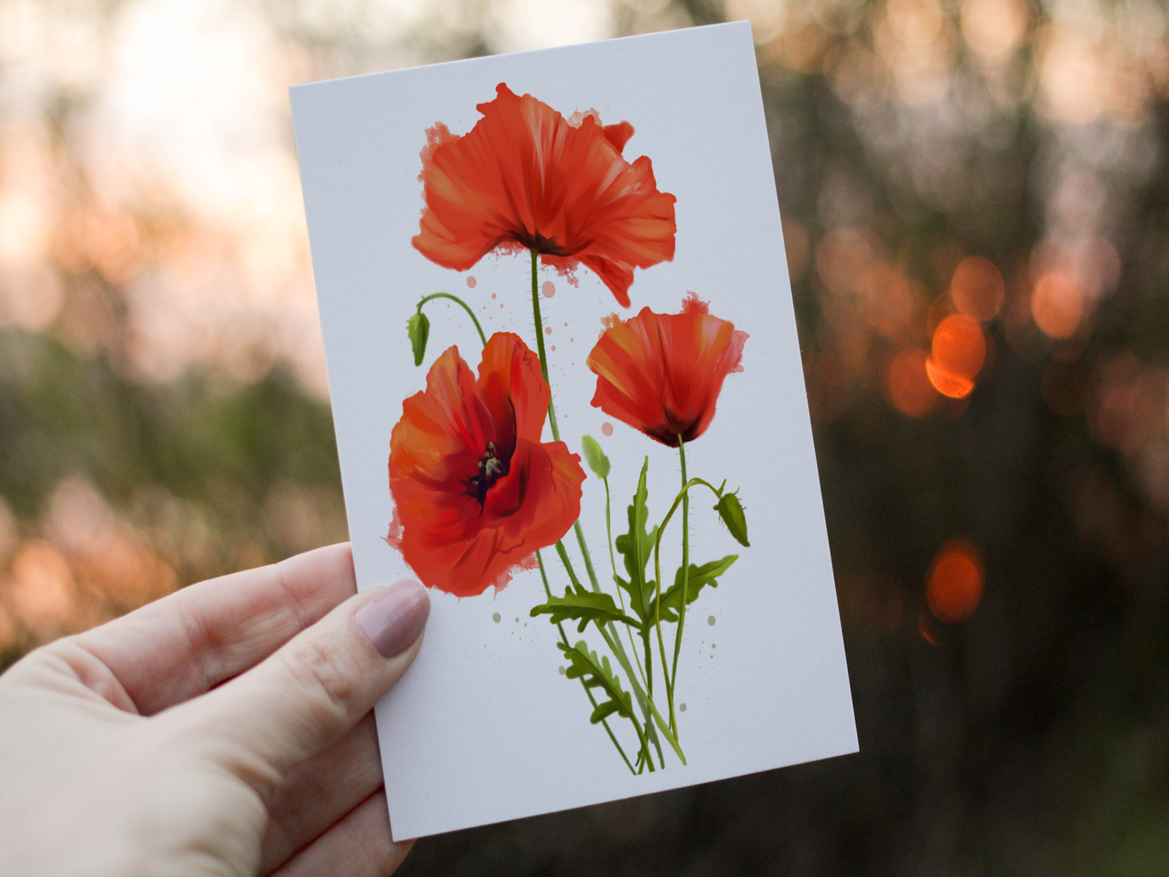 Poppy Card